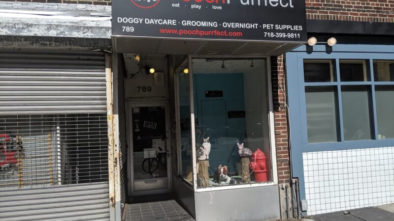 Pooch Purrfect - Brooklyn, NY