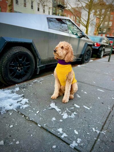 Potomac Playground - Brooklyn, NY