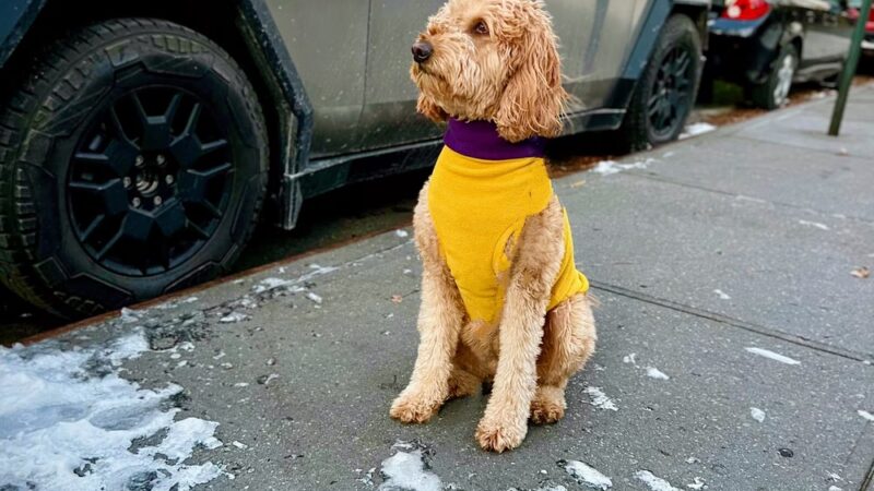 Potomac Playground - Brooklyn, NY