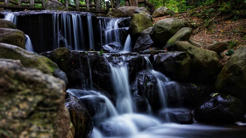 Prospect Park Waterfall - Brooklyn, NY