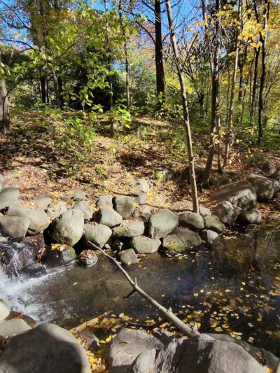 Prospect Park Waterfall - Brooklyn, NY