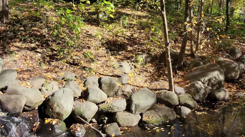 Prospect Park Waterfall - Brooklyn, NY