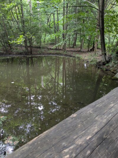Prospect Park Waterfall - Brooklyn, NY
