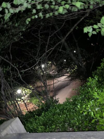 Prospect Park Waterfall - Brooklyn, NY