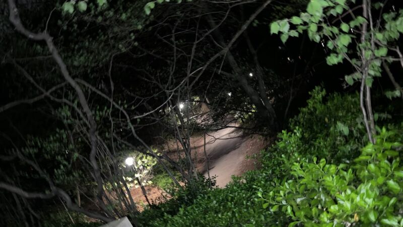 Prospect Park Waterfall - Brooklyn, NY