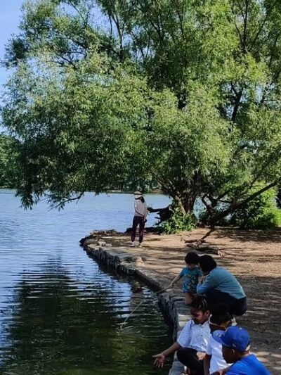 Prospect Park Wetland - Brooklyn, NY