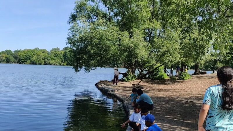 Prospect Park Wetland - Brooklyn, NY
