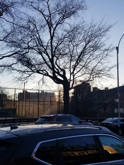 Rodney Park South - Brooklyn, NY