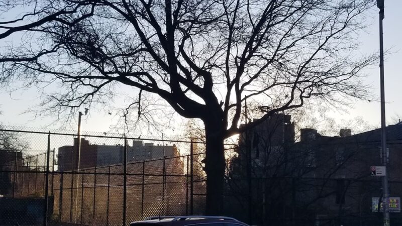 Rodney Park South - Brooklyn, NY