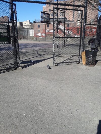 Rodney Park South - Brooklyn, NY