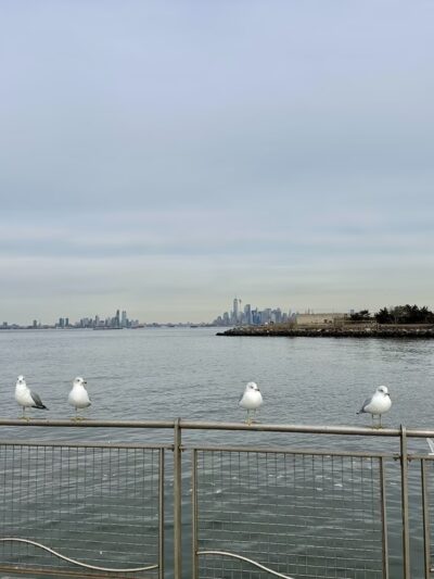 Shore Park and Parkway - Brooklyn, NY