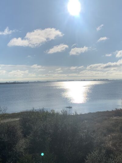 Shore Pkwy Park - Brooklyn, NY