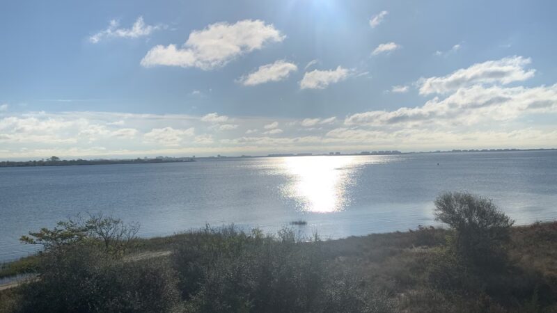 Shore Pkwy Park - Brooklyn, NY