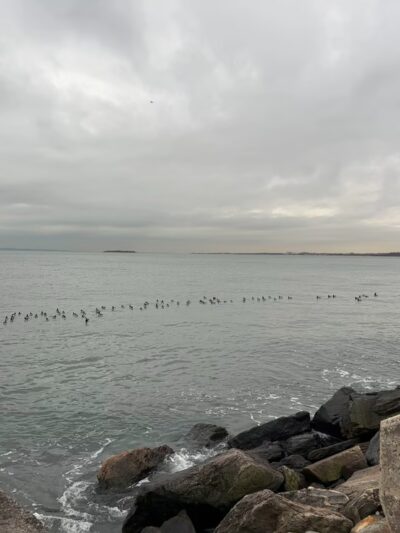 Shore Pkwy Park - Brooklyn, NY