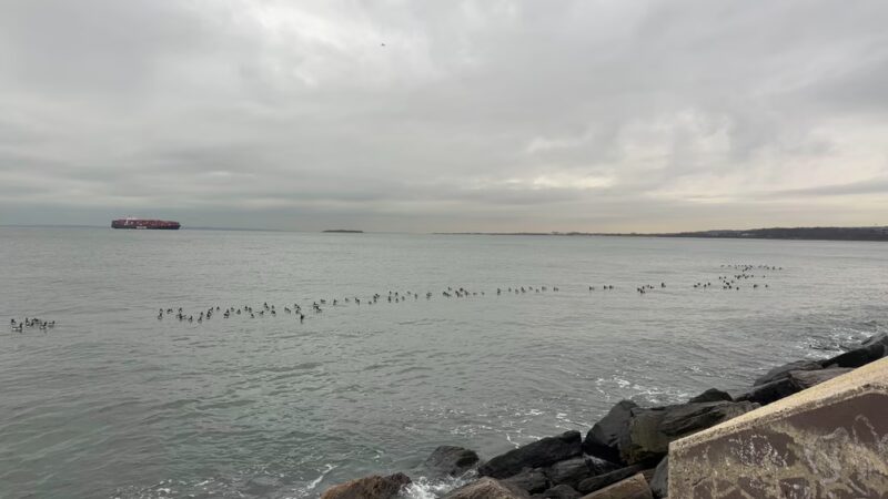 Shore Pkwy Park - Brooklyn, NY