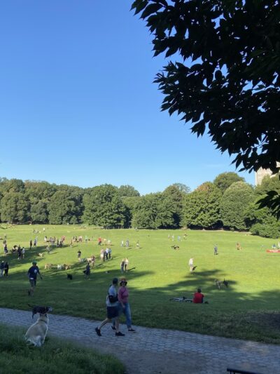 Sled Hill - Brooklyn, NY