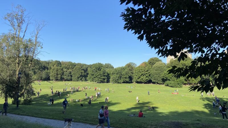 Sled Hill - Brooklyn, NY