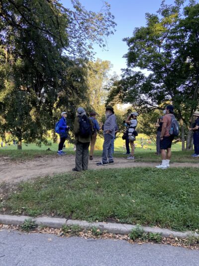 Sled Hill - Brooklyn, NY