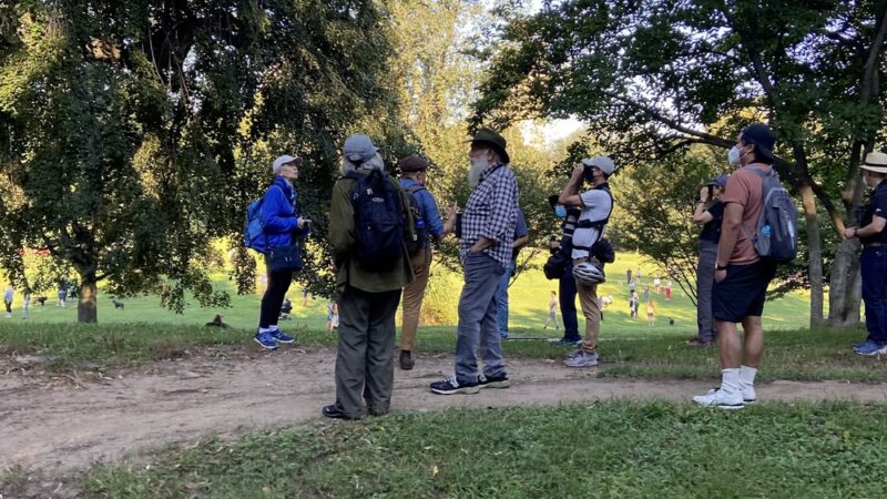 Sled Hill - Brooklyn, NY