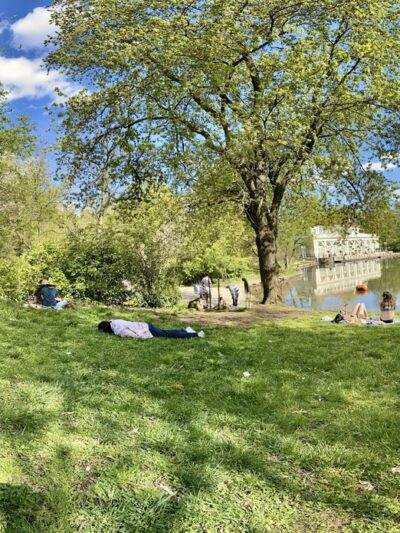 Sled Hill - Brooklyn, NY