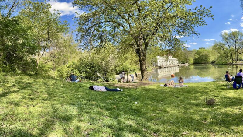 Sled Hill - Brooklyn, NY