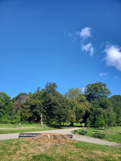The Picnic House in Prospect Park - Brooklyn, NY