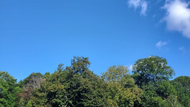 The Picnic House in Prospect Park - Brooklyn, NY