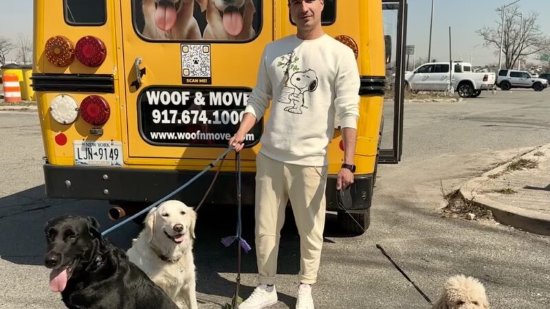 Woof & Move LLC - Brooklyn, NY
