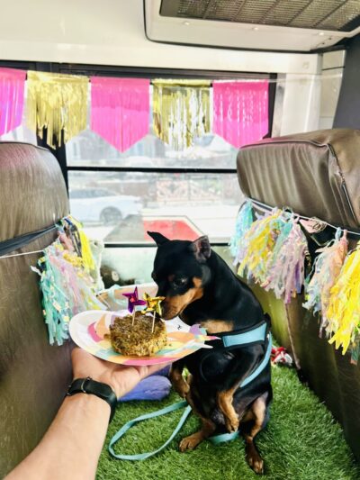 Woof & Move LLC - Brooklyn, NY