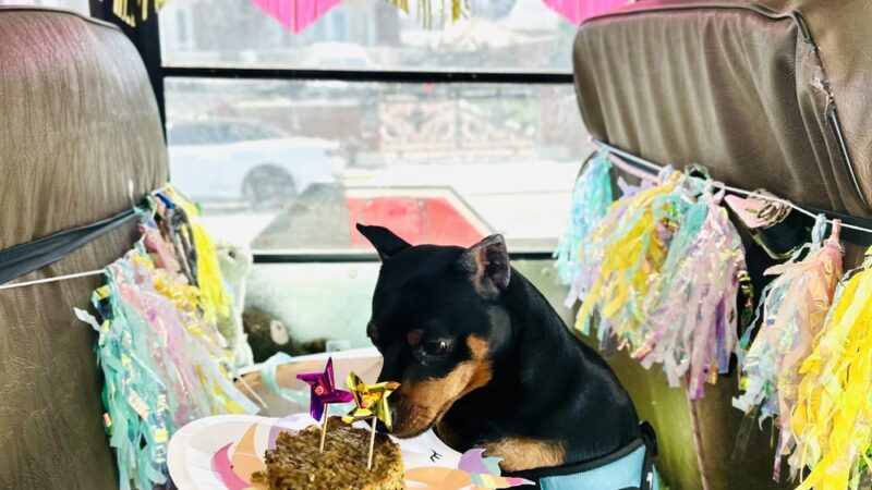 Woof & Move LLC - Brooklyn, NY