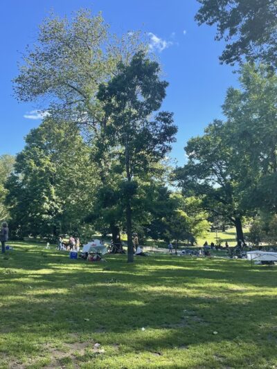 Bandshell Picnic Tables - Brooklyn, NY