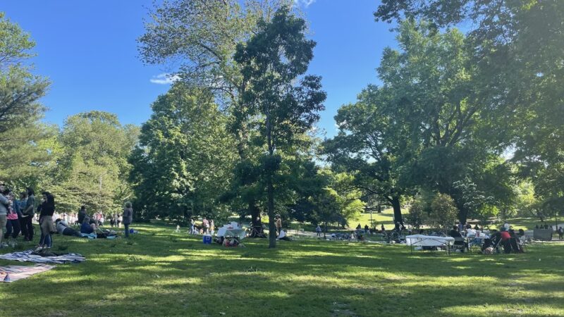 Bandshell Picnic Tables - Brooklyn, NY