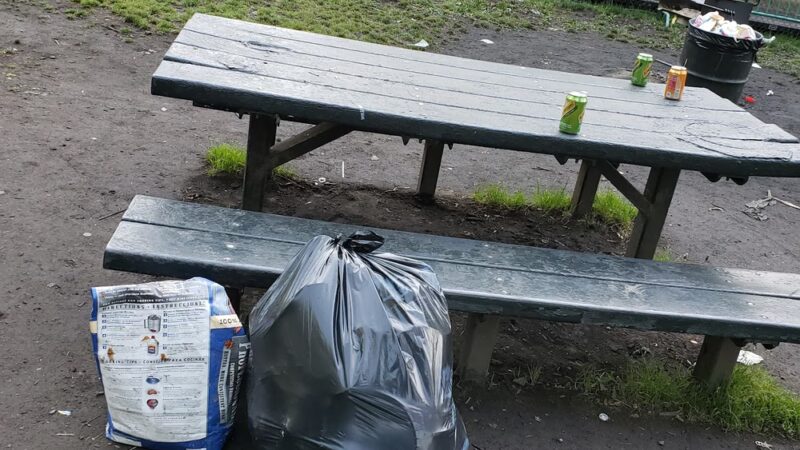 Bandshell Picnic Tables - Brooklyn, NY