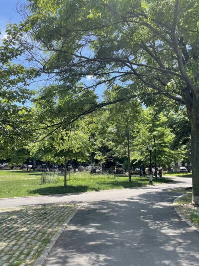 Brower Park - Brooklyn, NY