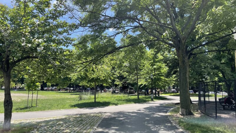 Brower Park - Brooklyn, NY