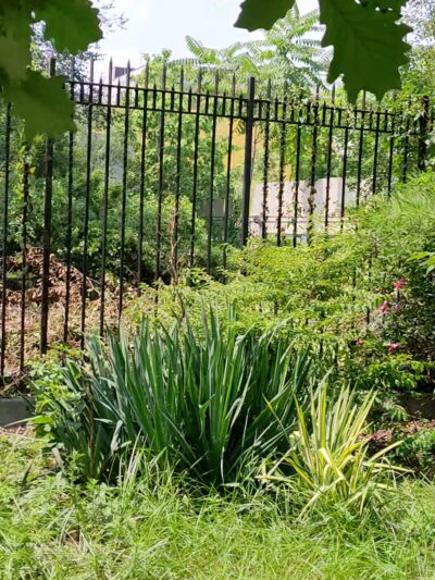 Brower Park - Brooklyn, NY