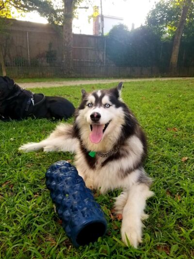 Captain John McKenna, IV Park - Brooklyn, NY