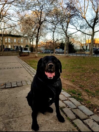 Captain John McKenna, IV Park - Brooklyn, NY