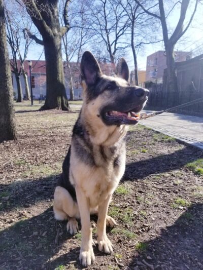 Captain John McKenna, IV Park - Brooklyn, NY