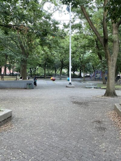 Cuyler Gore - Brooklyn, NY