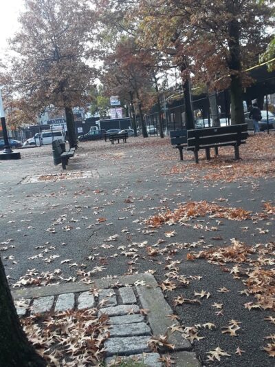 D'Emic Playground - Brooklyn, NY