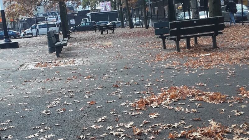 D'Emic Playground - Brooklyn, NY