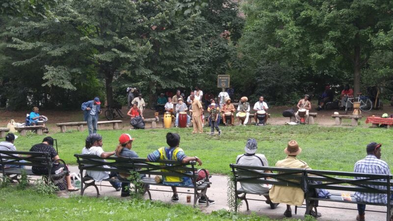 Drummer's Grove - Brooklyn, NY