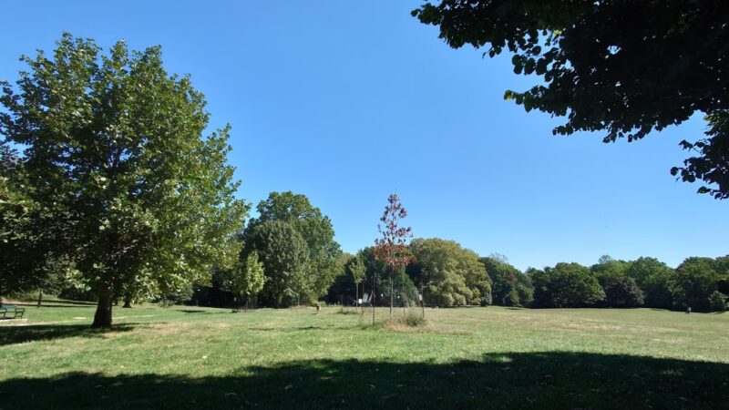 Drummer's Grove - Brooklyn, NY