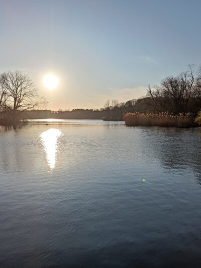 Drummer's Grove - Brooklyn, NY