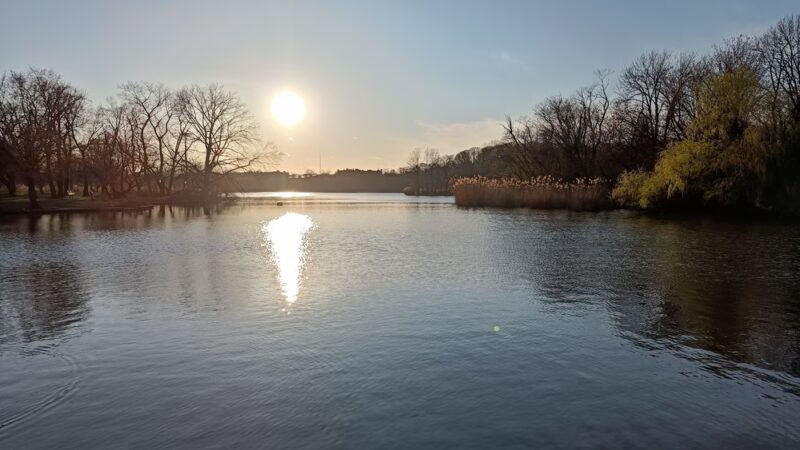 Drummer's Grove - Brooklyn, NY