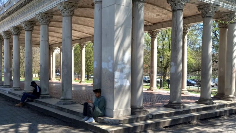 Drummer's Grove - Brooklyn, NY