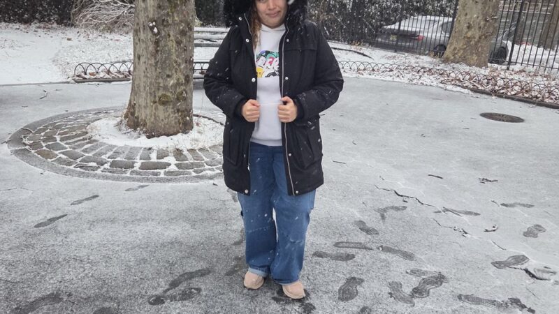 Elizabeth Stroud Playground - Brooklyn, NY