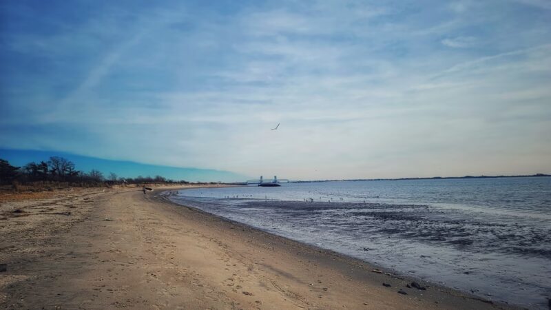 Lew Fidler Park - Brooklyn, NY