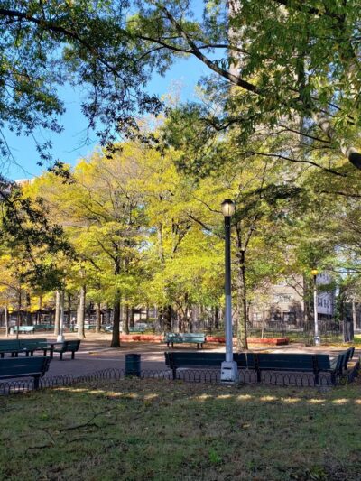 Livonia Park - Brooklyn, NY